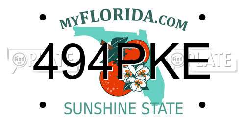 494PKE Florida License Plate