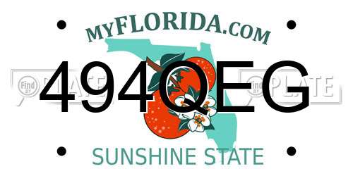 494QEG Florida License Plate