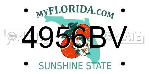 4956BV Florida License Plate
