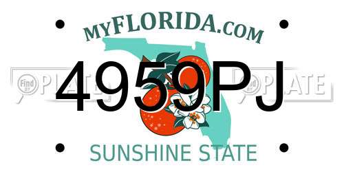 4959PJ Florida License Plate