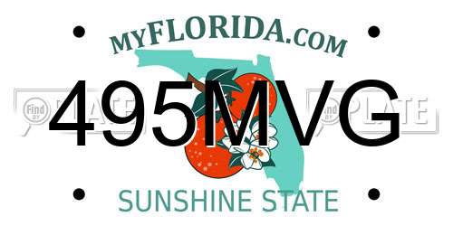 495MVG Florida License Plate