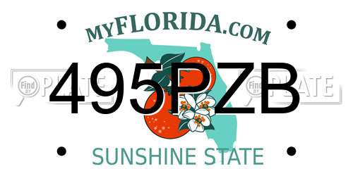 495PZB Florida License Plate