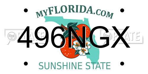 496NGX Florida License Plate