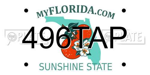 496TAP Florida License Plate