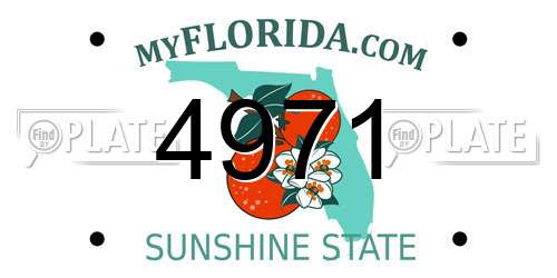 4971 Florida License Plate