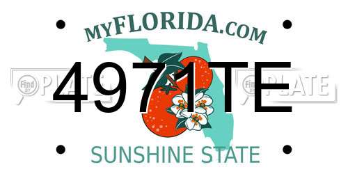 4971TE Florida License Plate