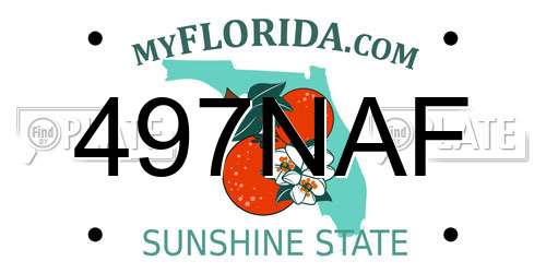 497NAF Florida License Plate