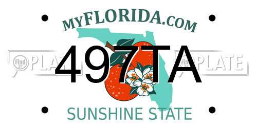 497TA Florida License Plate