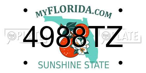 4988TZ Florida License Plate