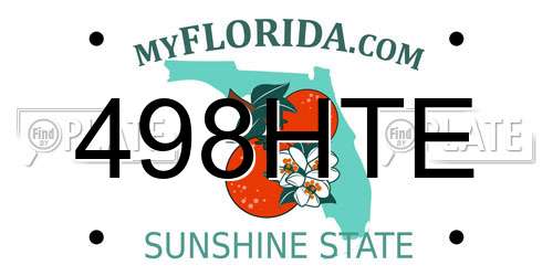 498HTE Florida License Plate