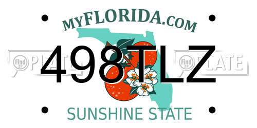 498TLZ Florida License Plate