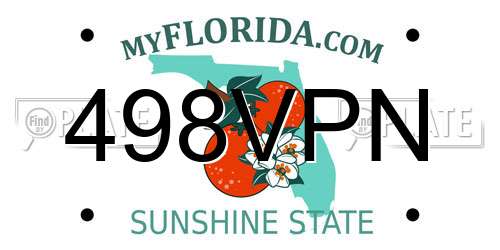 498VPN Florida License Plate