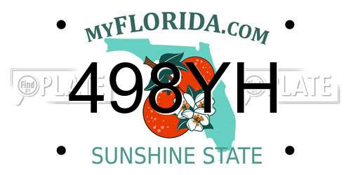 498YH Florida License Plate
