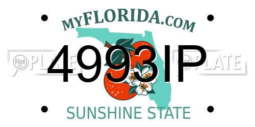 4993IP Florida License Plate