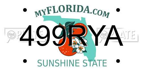 499RYA Florida License Plate