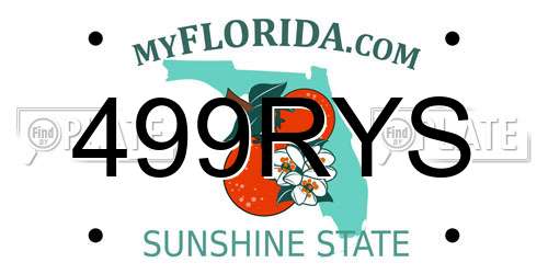 499RYS Florida License Plate