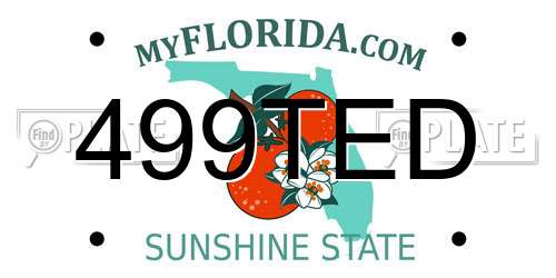 499TED Florida License Plate