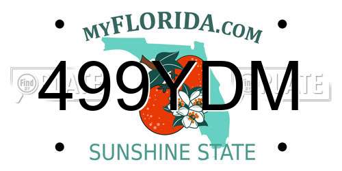 499YDM Florida License Plate