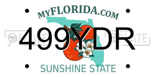 499YDR Florida License Plate