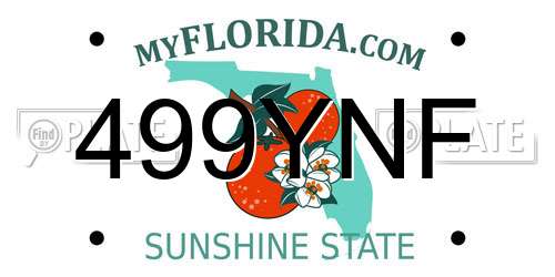 499YNF Florida License Plate