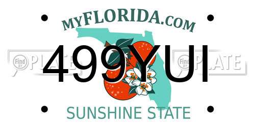 499YUI Florida License Plate