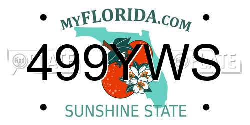 499YWS Florida License Plate