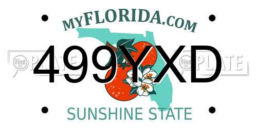499YXD Florida License Plate