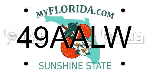 49AALW Florida License Plate