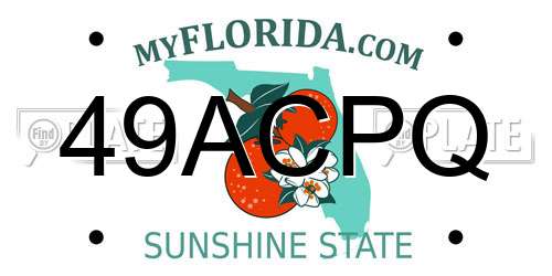 49ACPQ Florida License Plate