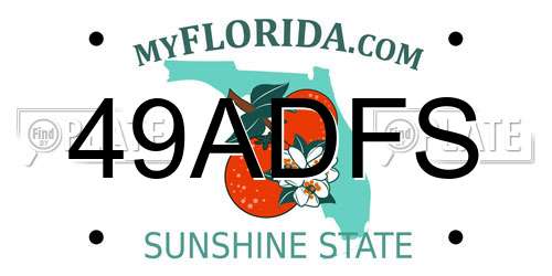 49ADFS Florida License Plate