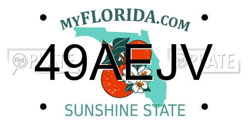 49AEJV Florida License Plate