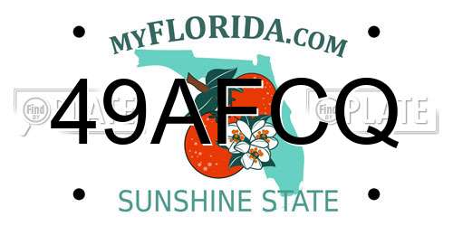 49AFCQ Florida License Plate