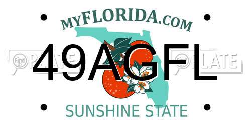 49AGFL Florida License Plate