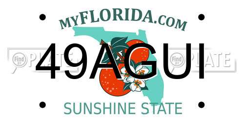 49AGUI Florida License Plate