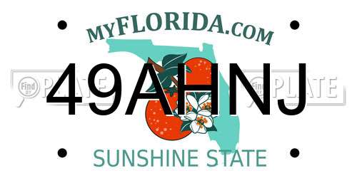 49AHNJ Florida License Plate