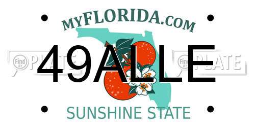 49ALLE Florida License Plate