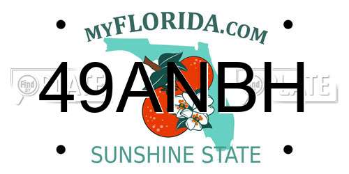 49ANBH Florida License Plate
