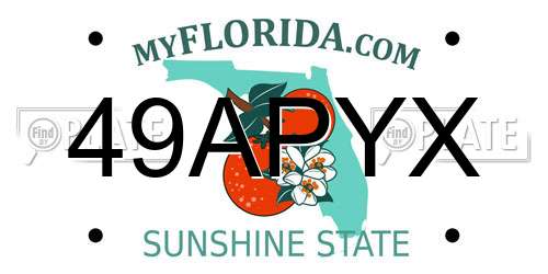 49APYX Florida License Plate