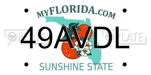 49AVDL Florida License Plate
