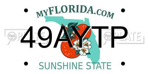 49AYTP Florida License Plate