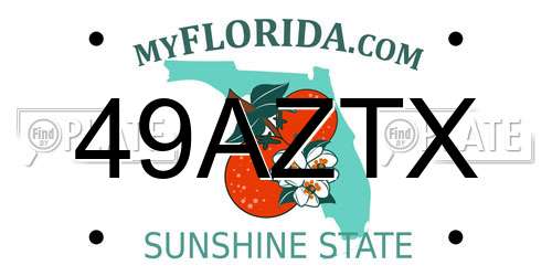 49AZTX Florida License Plate