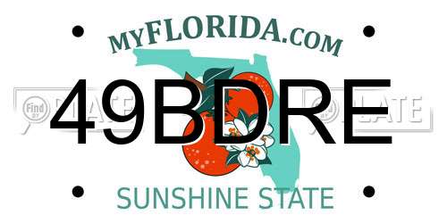 49BDRE Florida License Plate