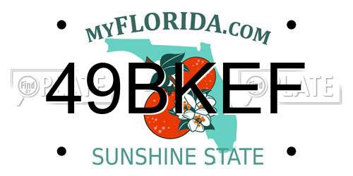 49BKEF Florida License Plate