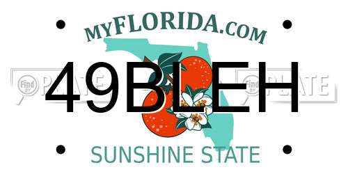 49BLEH Florida License Plate