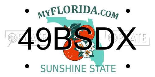 49BSDX Florida License Plate