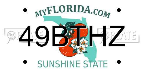 49BTHZ Florida License Plate