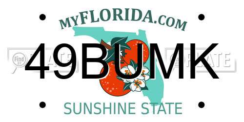 49BUMK Florida License Plate