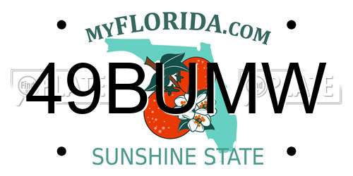 49BUMW Florida License Plate