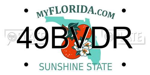 49BVDR Florida License Plate