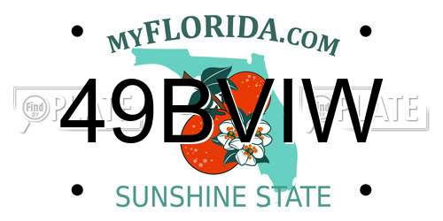 49BVIW Florida License Plate